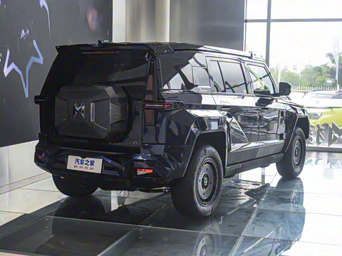 2025�� M900 ������