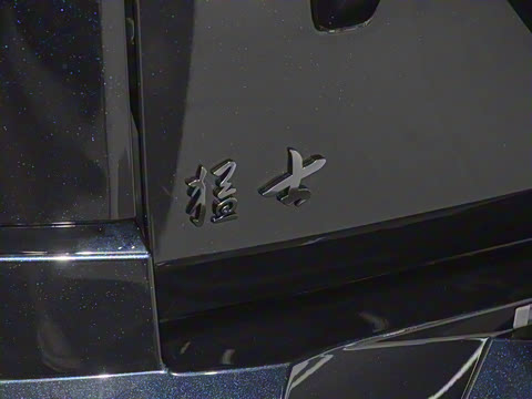 2025�� M900 ������