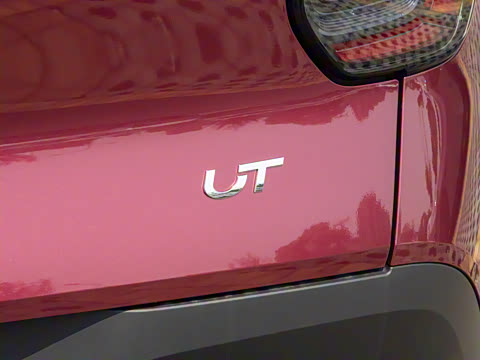 2025�� 330��ҫ��