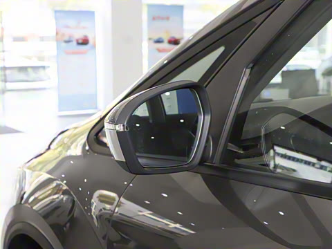 2025�� ��������