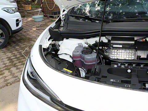 2025�� �Ŀ� ������ ���ڰ�