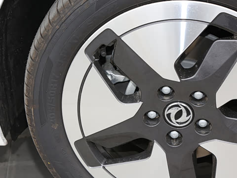 2025�� PRO ���а�