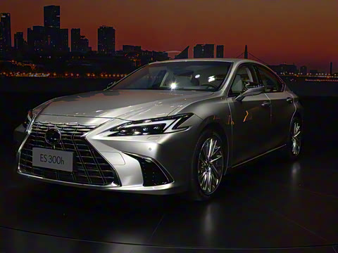 2025�� 300h ������