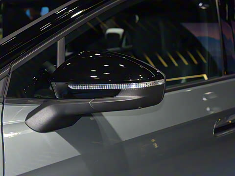 2025�� ������������ʿPRO��