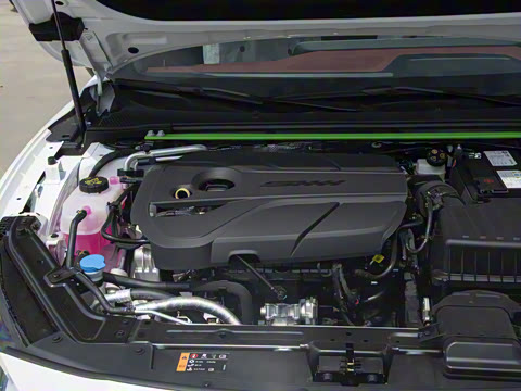 2025�� 2.0T Trophy+ �����Ǽݰ�