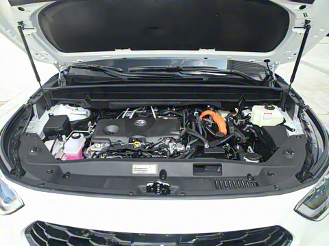 2024�� 2.5L HEV��������