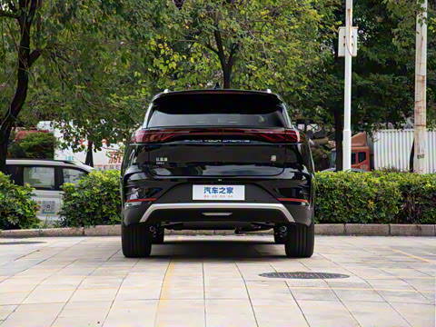 2025�� DM-i 115KM ������