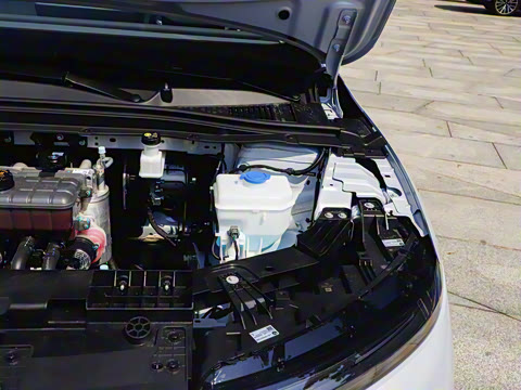 2025�� 650�����״��