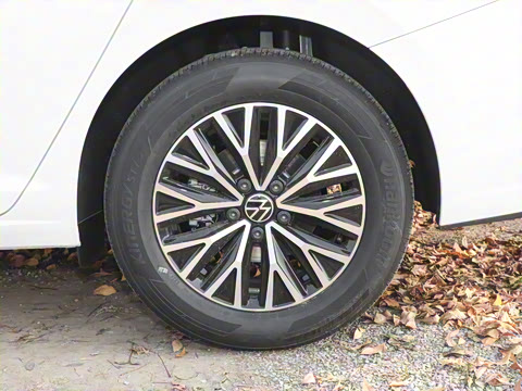 2025�� 200TSI DSG��Խ��