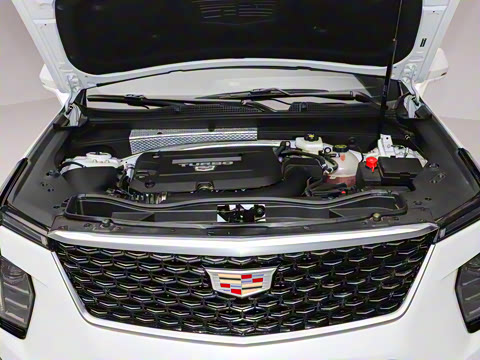 2024�� �Ŀ� 28T ����������