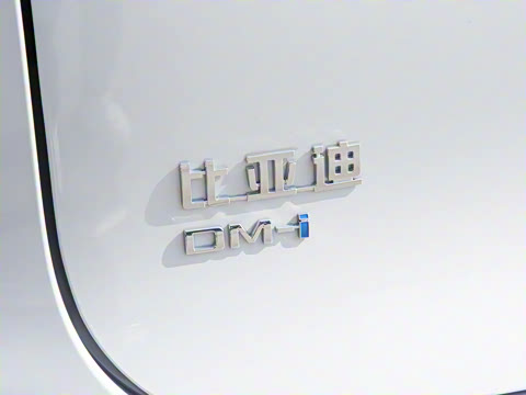 2025�� �Ǽݰ� DM-i 115KM �콢��