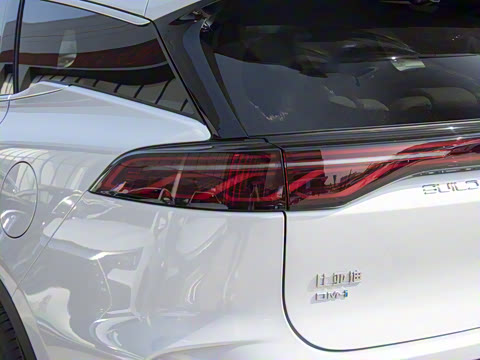 2025�� �Ǽݰ� DM-i 115KM �콢��