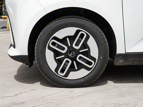 2025�� 305km ������