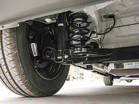 2025�� 305km ������