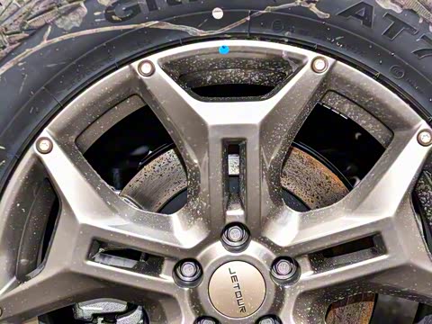 2025�� 2.0TD XWD �Զ�����