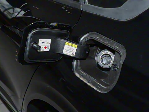 2025�� 1.5T EcoBoost ������