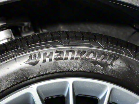 2024�� ���� 300������