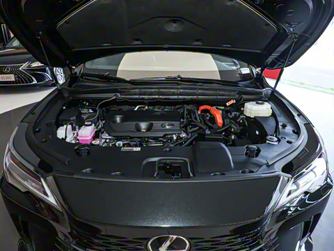 2023�� 350h ����������