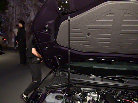 2025�� A3L Limousine 35TFSI �ɳ������� +������ѡ��