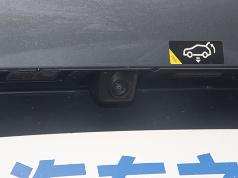 2025�� 650 ������