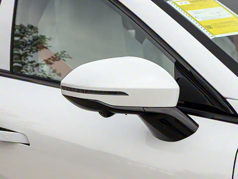 2025�� ���� 550ProѲ����