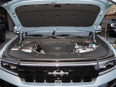 2025�� ���º����� 6��