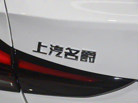 2025�� 300TGI ȫ���콢��