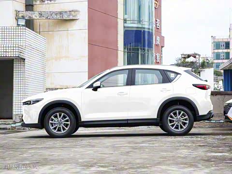 2024�� 2.0L �Զ�����������