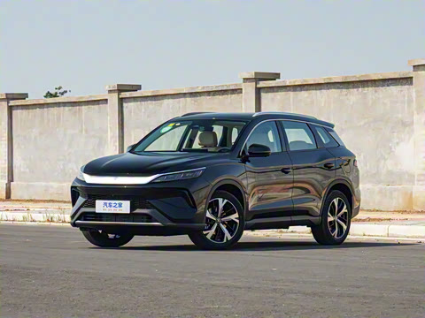 2025�� �ڶ��� DM-i 115KM׿Խ��