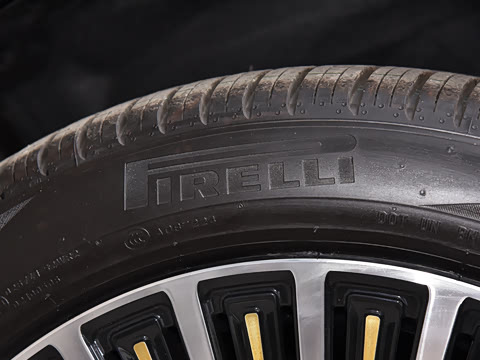 2025�� ����������