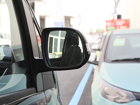 2025�� PLUS 2.0L ��Ӣ��