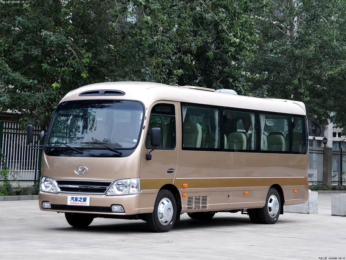 Hyundai Series 3613