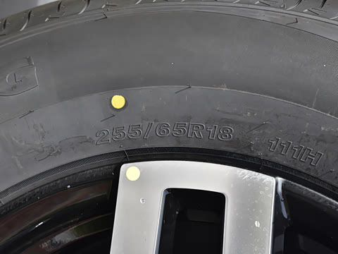 2024�� ����������