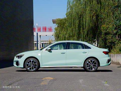 2024�� A3L Limousine 35 TFSI ��ȡ�˶���