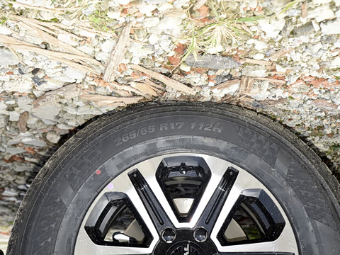 2024�� 2.0T ��������̽����