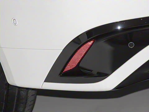 2025�� P250 R-Dynamic SE