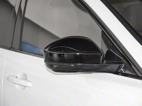 2025�� P250 R-Dynamic SE