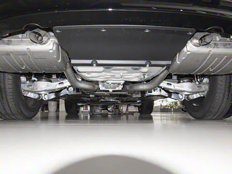 2025�� P250 R-Dynamic SE