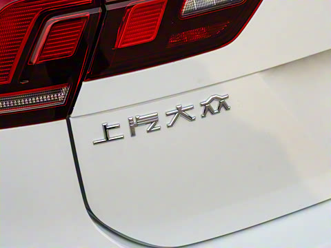 2025�� ���ڿ� 330TSI �Զ�����R-Line��ҫ��