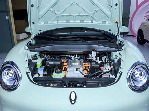 2024�� 401km ������