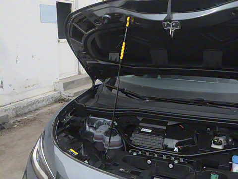 2025�� �Ŀ� ������ ���ڰ�