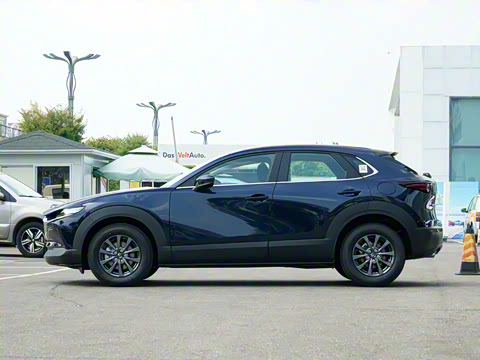 2024�� 2.0L �ֶ�������