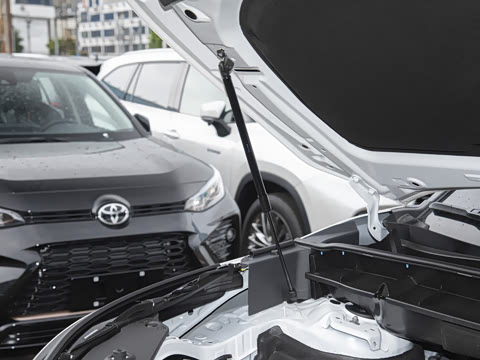 2024�� 2.5L���ܵ��˫��������Ӣ�� 7��