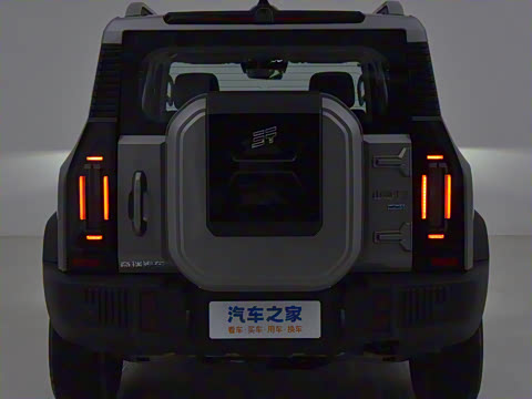 2024�� C-DM 206KM ����ɽҰ��