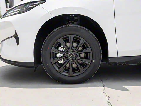 2025�� 520�ǻݰ�