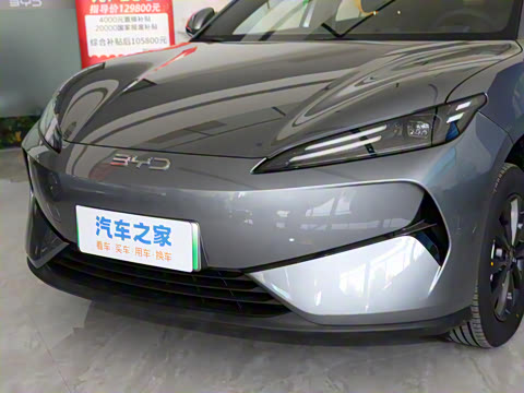 2025�� 520�ǻݰ�