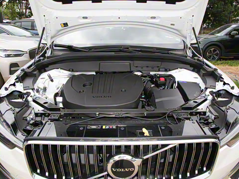 2025�� B5 �������ݺ�����