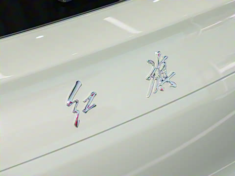 2025�� 520 ��ѡ��