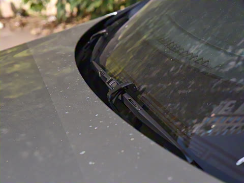 2025�� 350h ����������