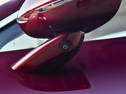 2024�� ���� Max ����������